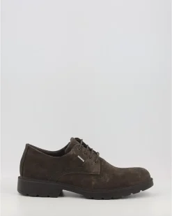 Zapatos Igi & Co Uctgt 46025 Marron