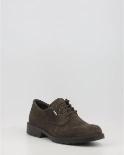Zapatos Igi & Co Uctgt 46025 Marron